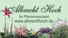 Anzeige - Albrecht Hoch